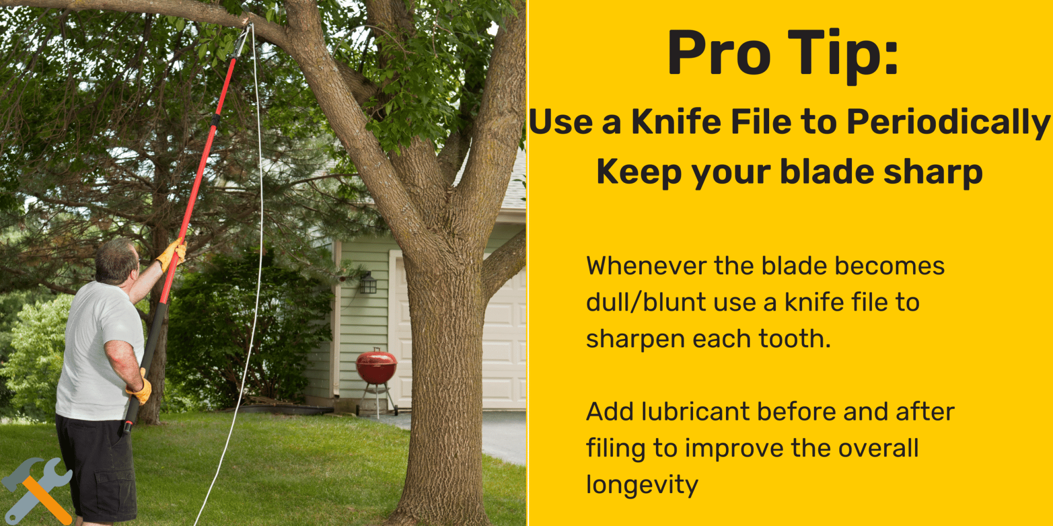 Top 7 Best Manual Pole Saw (2024 Guide) ToolsGaloreHQ