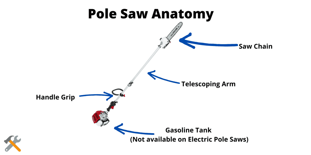 How To Use A Pole Saw (5 Step Guide) ToolsGaloreHQ