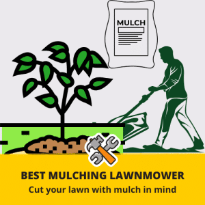 Mulching Lawn Mower