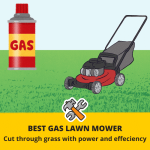 Best gas lawn mower