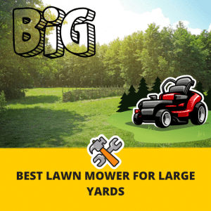 big yard