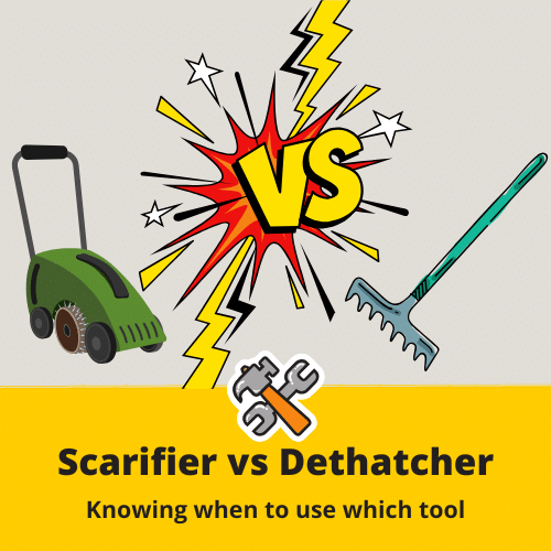 scarifier vs dethatcher