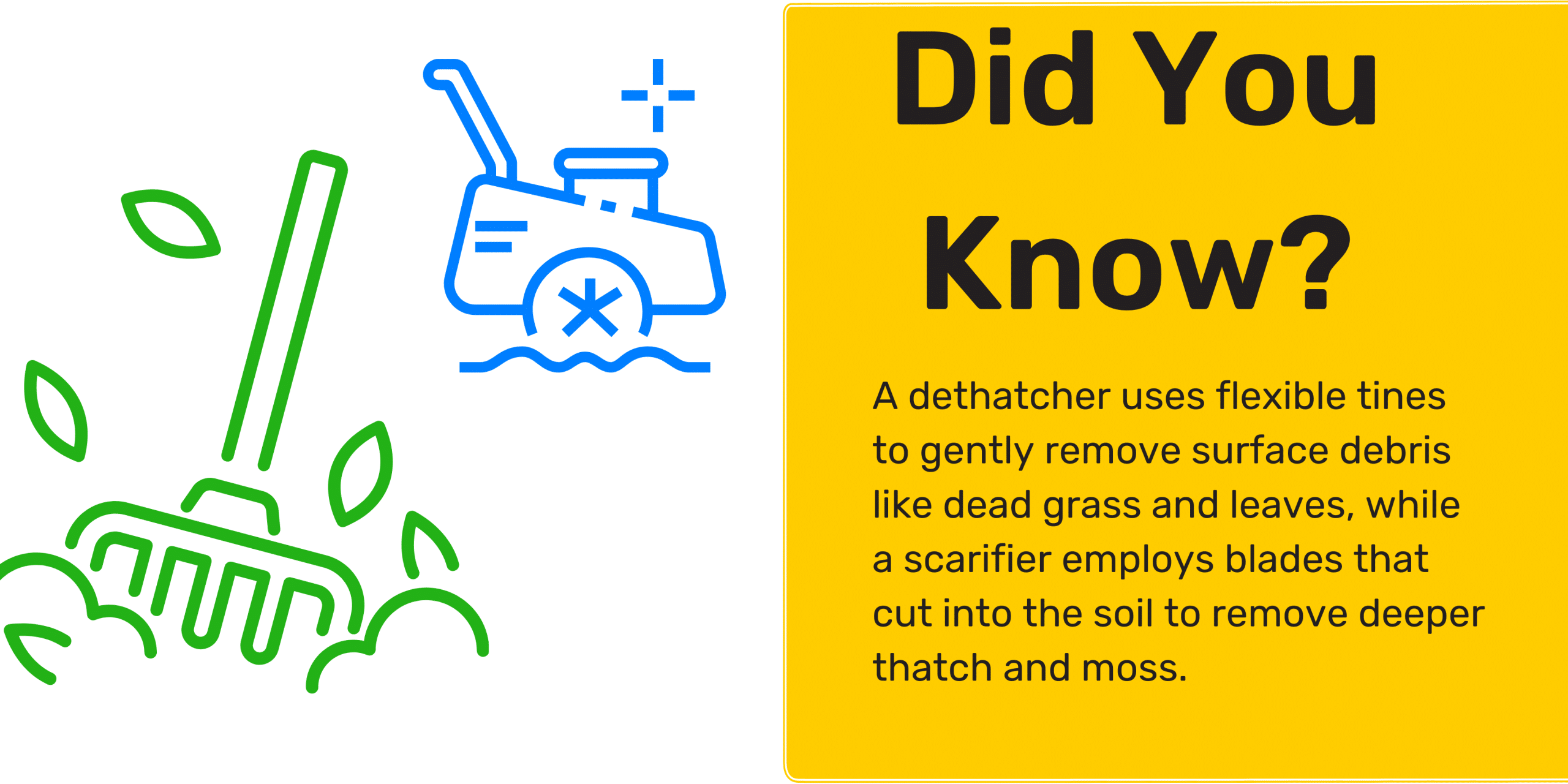 Scarifier vs dethatcher