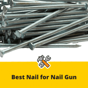 Best Nail for Nail Gun