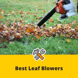 Best Leaf Blowers