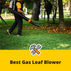 best gas leaf blower