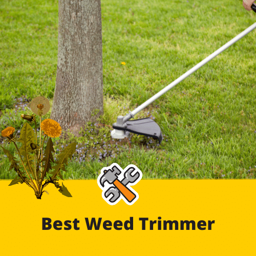 Copy of ToolsGalorHQ Picture Repository_v2 (87) Best Weed Trimmer